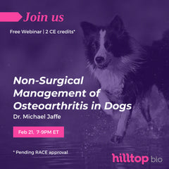 Webinar: Non-Surgical Management of Osteoarthritis in Dogs
