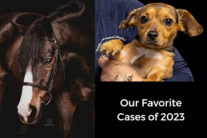 Our Favorite Cases of 2023