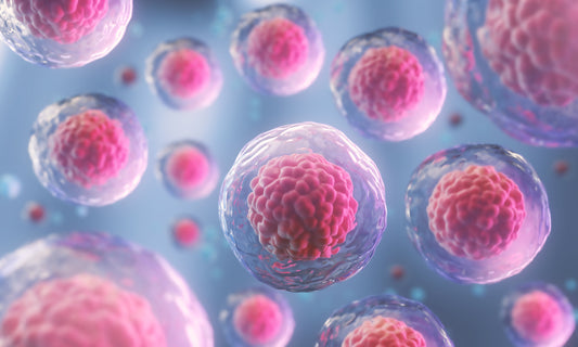 What is Regenerative Medicine?