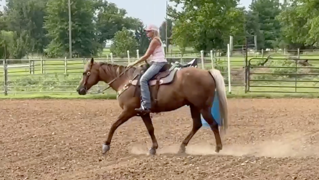 Sore Hocks Managed with Strydaflex