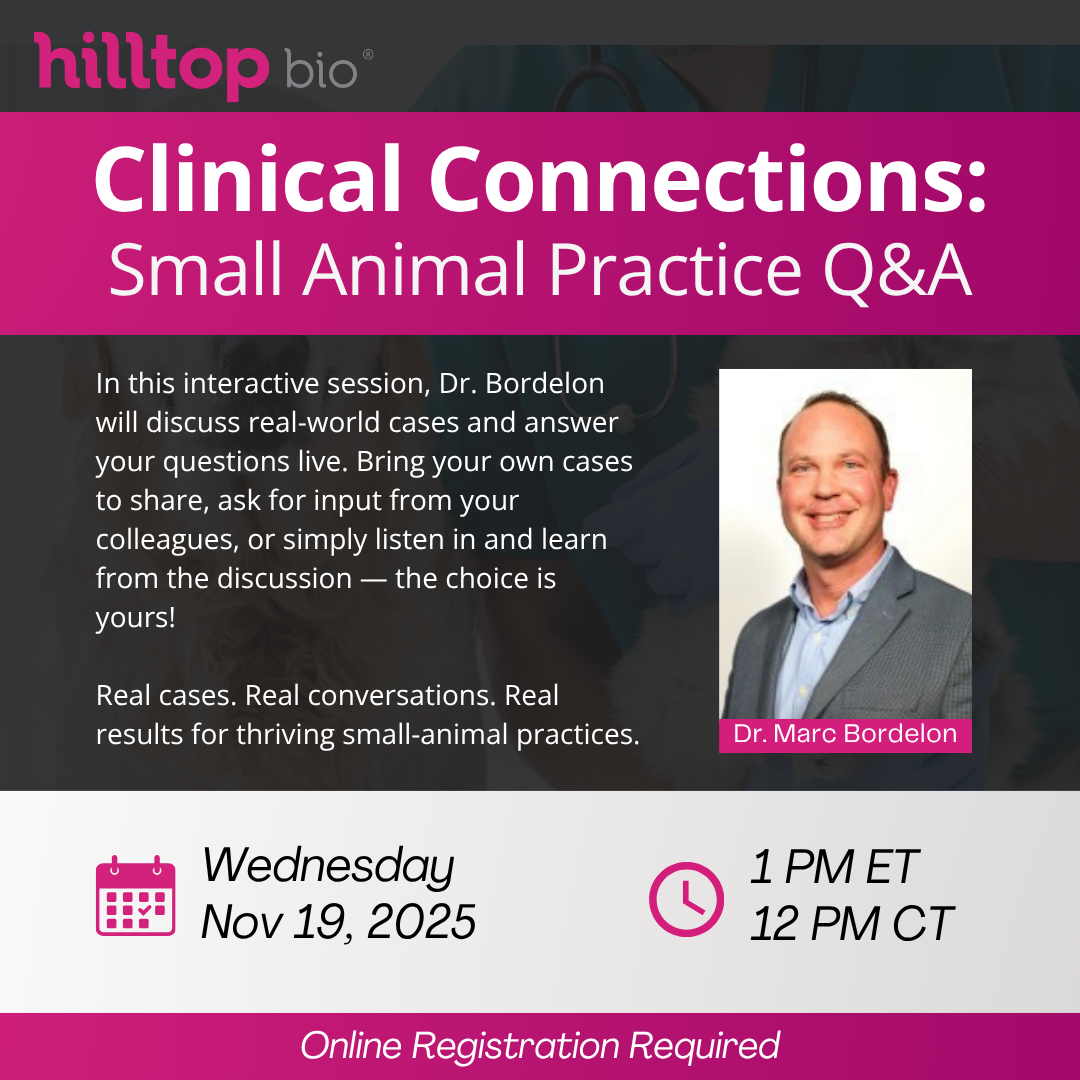 Clinical Connections: Small Animal Practice Q&A