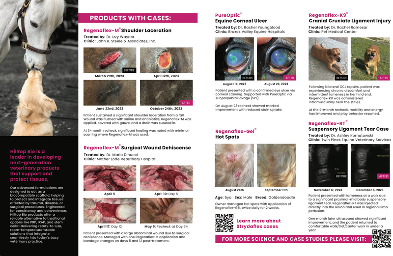 Case Review Brochure