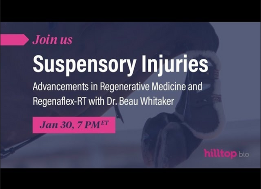 Suspensory Injuries: Advancements in Regenerative Medicine and Regenaflex-RT