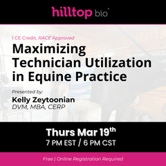 Maximizing Technician Utilization in Equine Practice