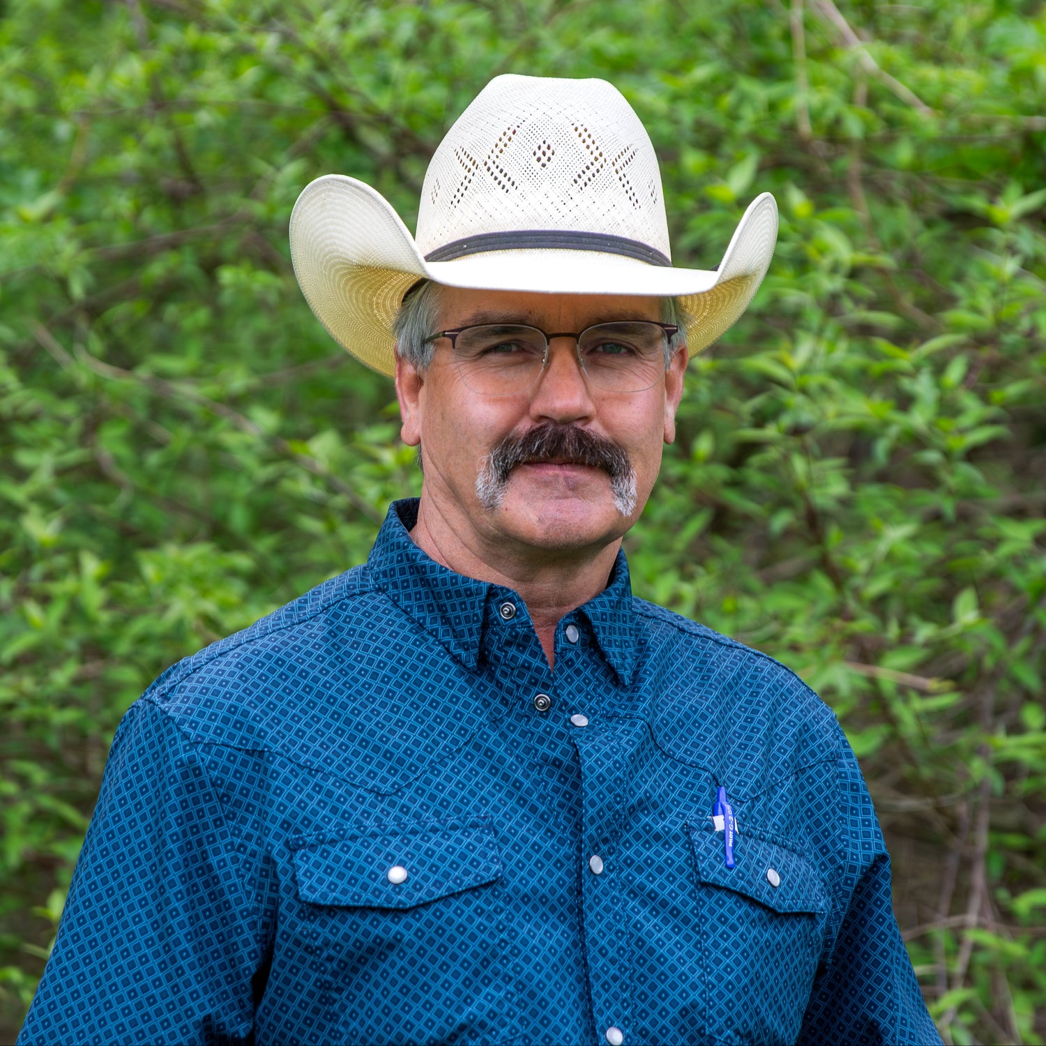 Dr David Dutton CVO