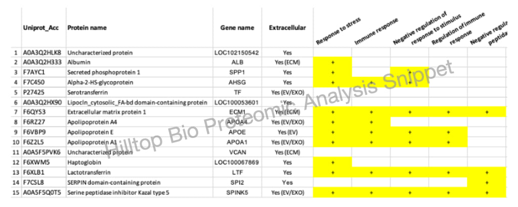 <p>Proteomic Analysis</p>